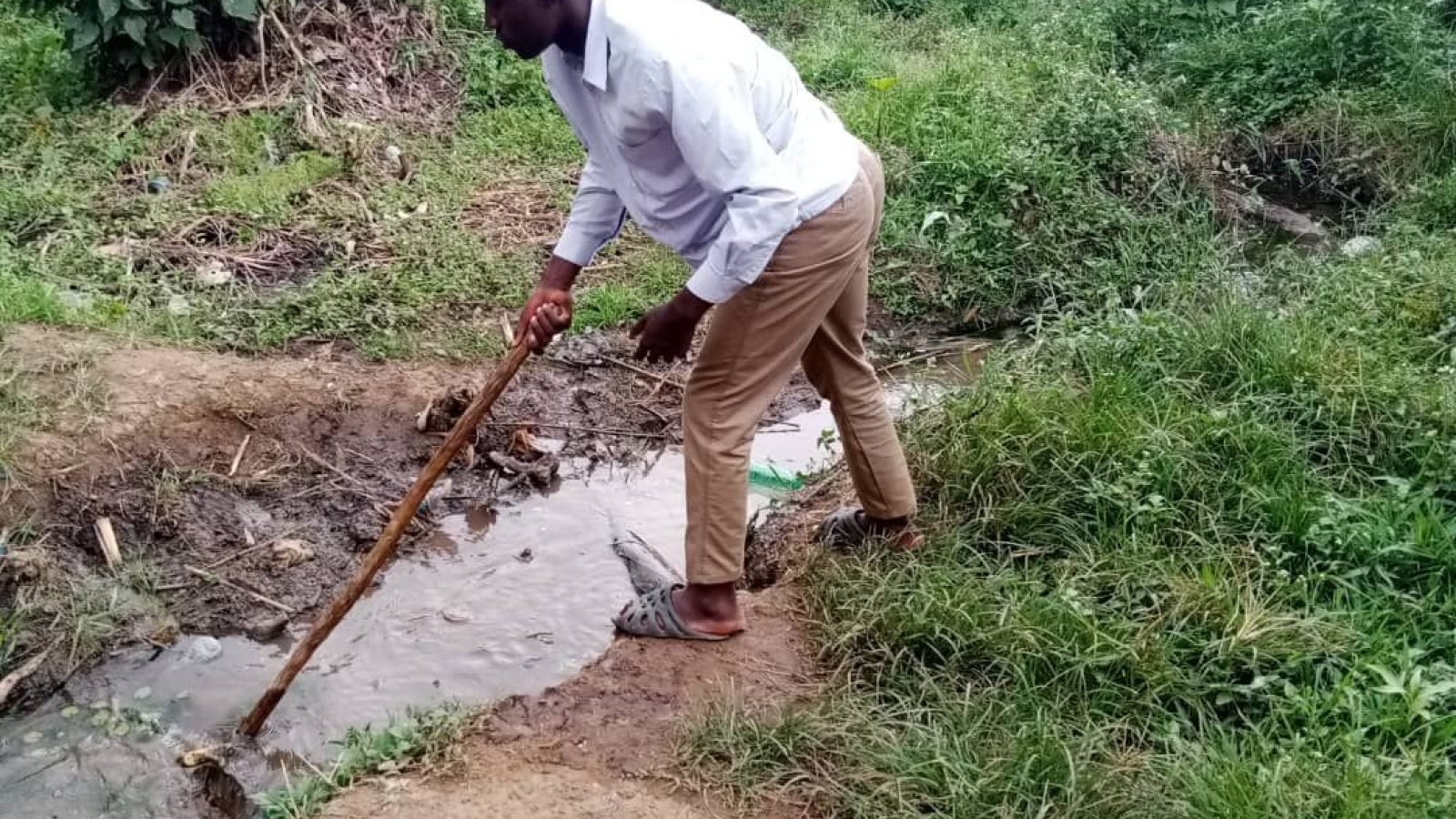 dig1