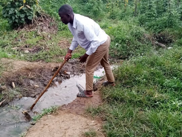 dig1